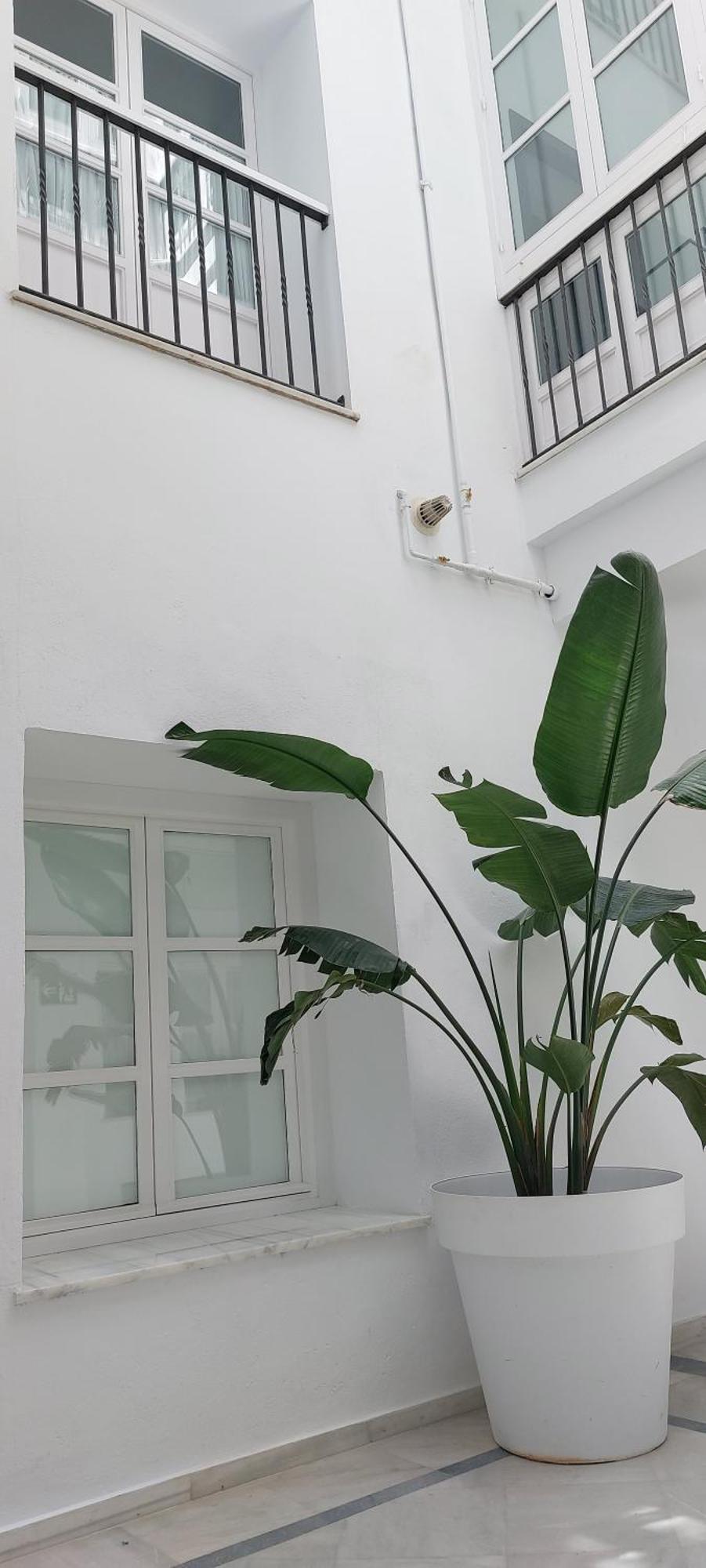 El 2 De Flamenco Bajob Apartment Cadiz